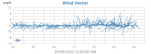 yearwindvec